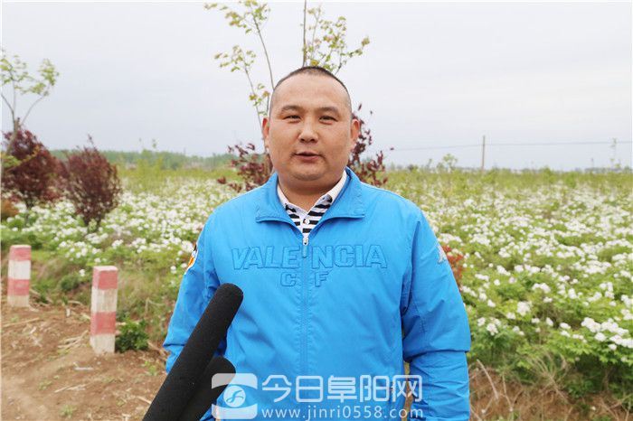 做中药产业文章 培育种养大户规模化经营