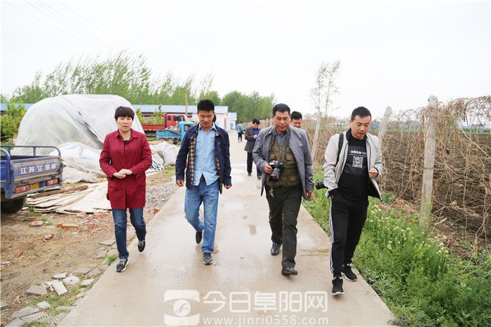做中药产业文章 培育种养大户规模化经营