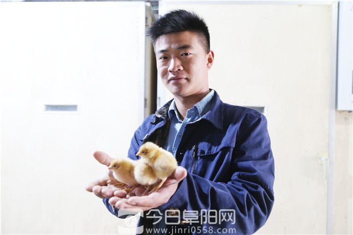 做中药产业文章 培育种养大户规模化经营