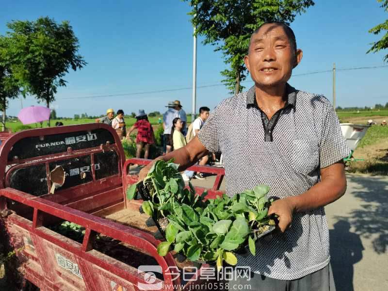 【新闻特写】濛洼人民:汗水播下希望种 【新闻特写】濛洼人民:汗水播下希望种