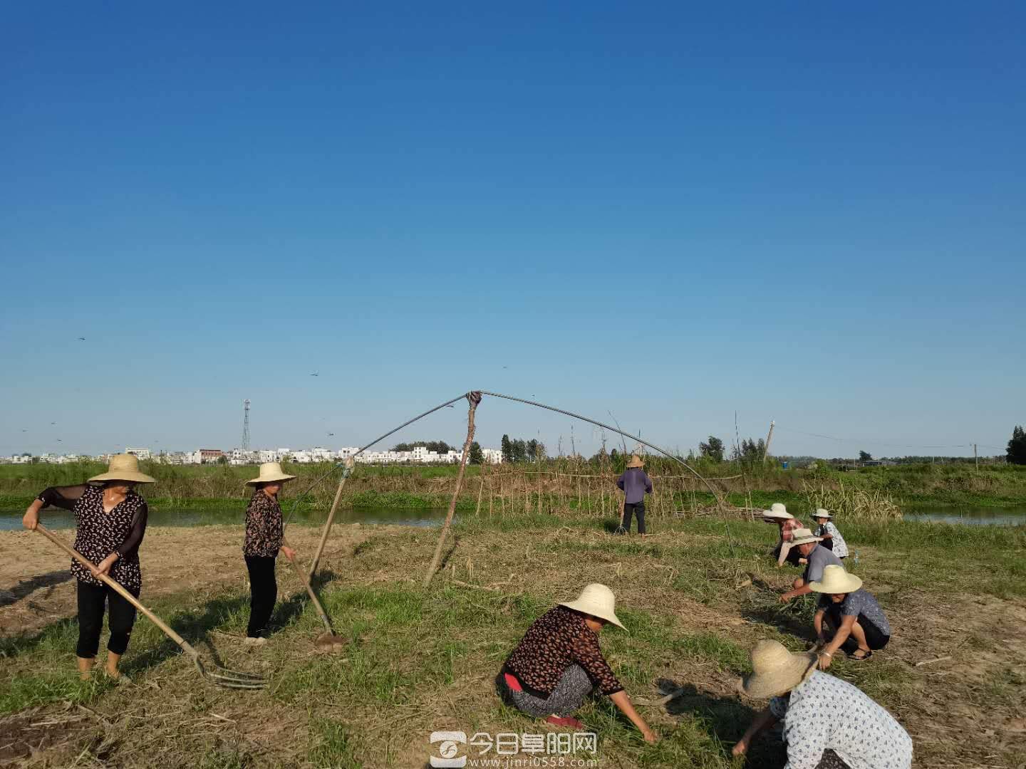 【新闻特写】濛洼人民:汗水播下希望种 【新闻特写】濛洼人民:汗水播下希望种