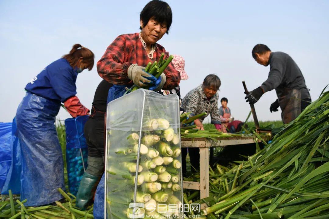 阜阳：强日常，赢战场