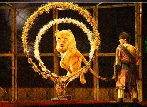640 (2).gif
