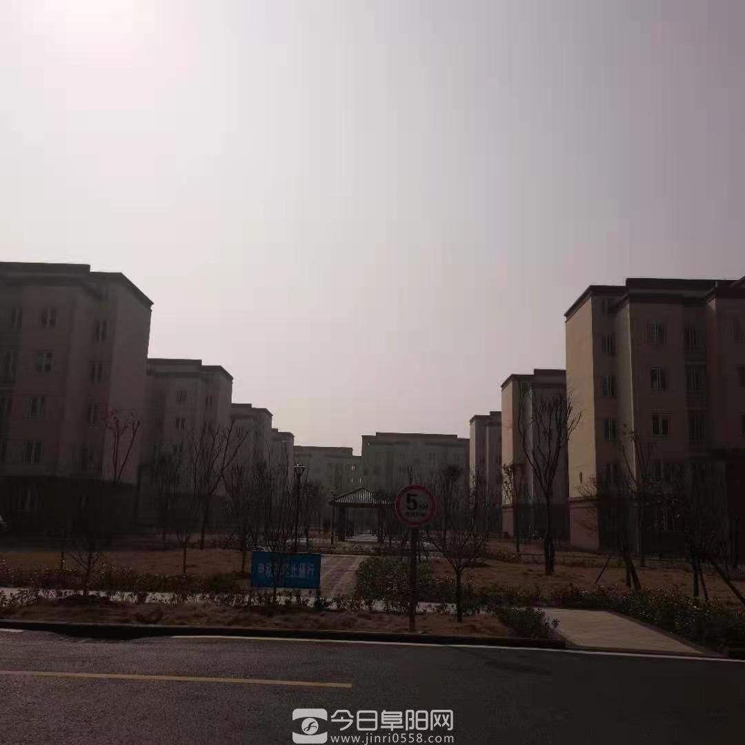 新春走蒙洼,喜看新变化 新春走蒙洼,喜看新变化