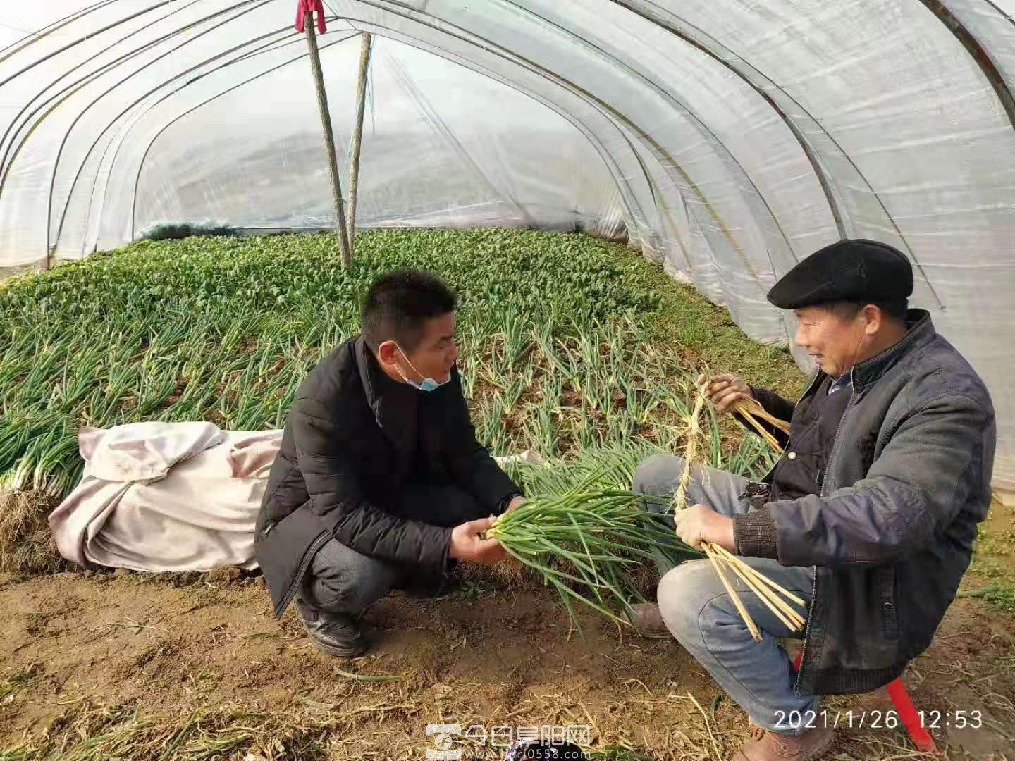 新春走蒙洼,喜看新变化 新春走蒙洼,喜看新变化