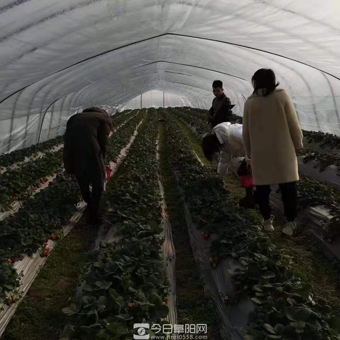 新春走蒙洼,喜看新变化 新春走蒙洼,喜看新变化