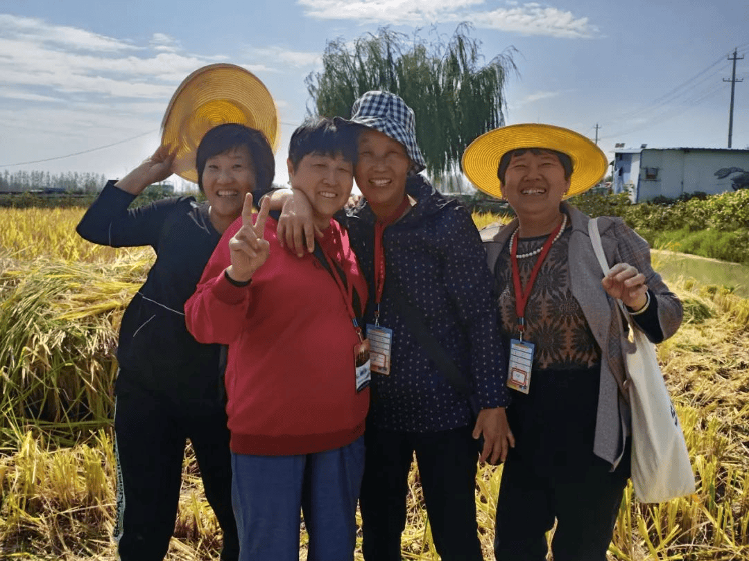 安徽阜南洪桥镇万亩虾田水稻开镰收割！富硒虾田米喜获丰收......