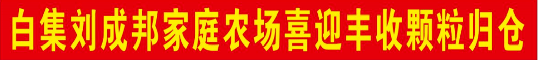 安徽阜南洪桥镇万亩虾田水稻开镰收割！富硒虾田米喜获丰收......