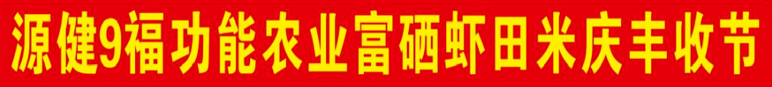 安徽阜南洪桥镇万亩虾田水稻开镰收割！富硒虾田米喜获丰收......