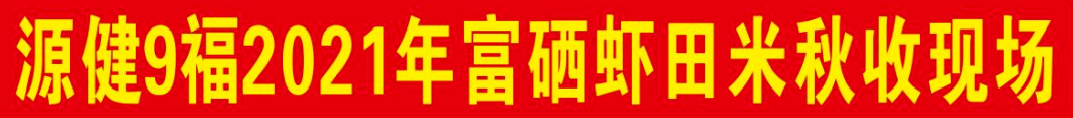 安徽阜南洪桥镇万亩虾田水稻开镰收割！富硒虾田米喜获丰收......