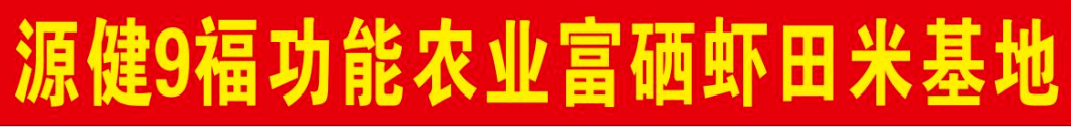 安徽阜南洪桥镇万亩虾田水稻开镰收割！富硒虾田米喜获丰收......