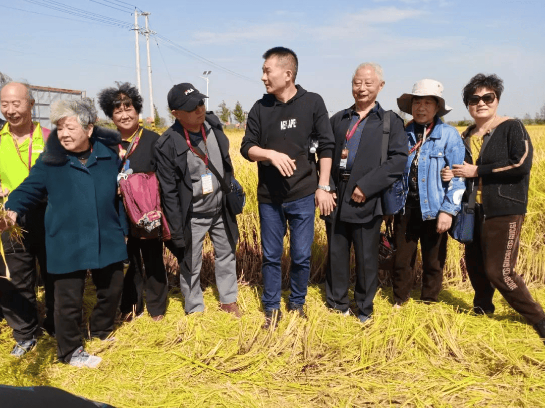 安徽阜南洪桥镇万亩虾田水稻开镰收割！富硒虾田米喜获丰收......