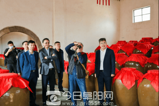国家级大咖齐聚焦陂 鉴评两款封藏酒品