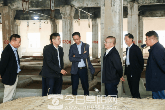 国家级大咖齐聚焦陂 鉴评两款封藏酒品