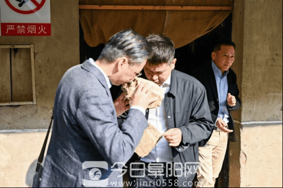 国家级大咖齐聚焦陂 鉴评两款封藏酒品