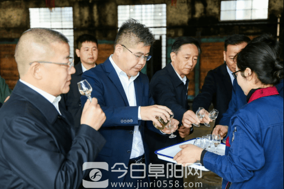 国家级大咖齐聚焦陂 鉴评两款封藏酒品
