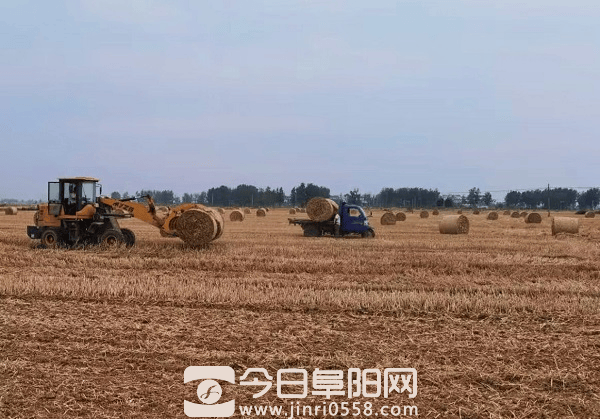 阜南县郜台乡全力做好三夏服务保障工作 阜南县郜台乡全力做好三夏服务保障工作
