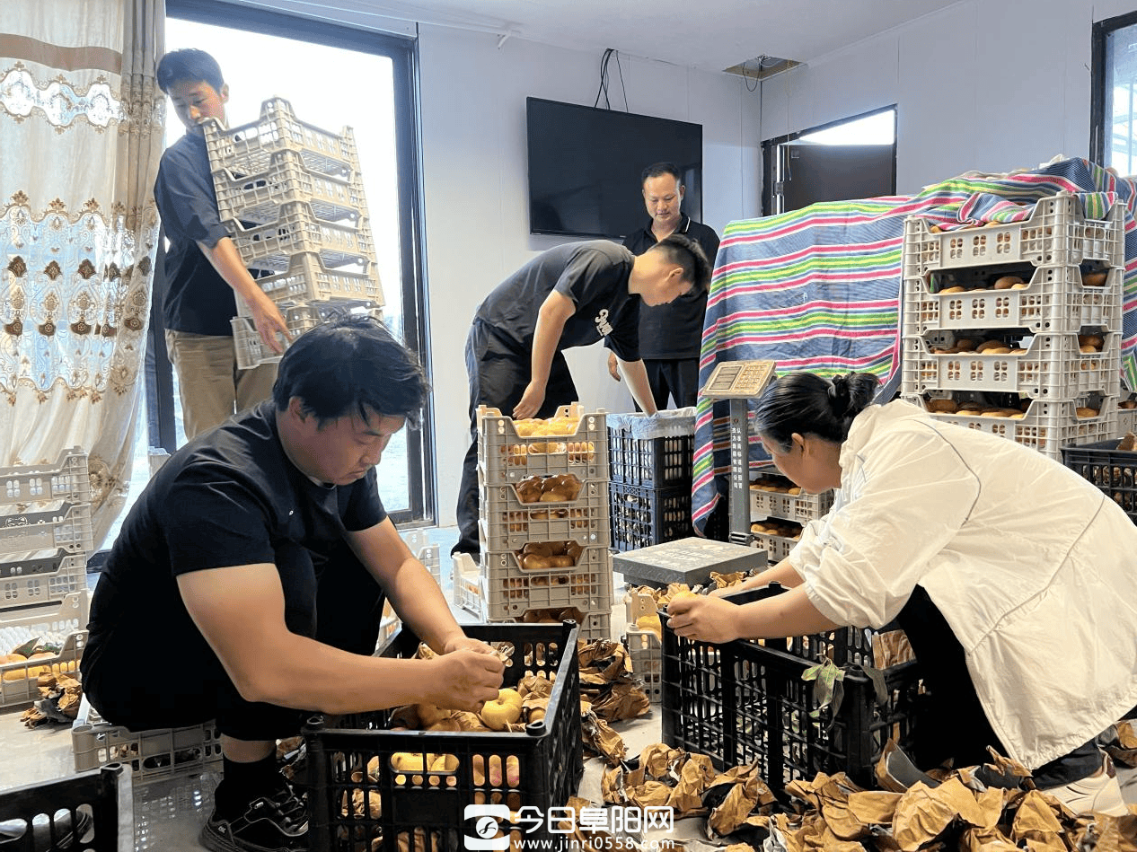 阜南县苗集镇张古村:跑赢强对流天气 暴雨前成功销售蟠桃5000斤 阜南县苗集镇张古村:跑赢强对流天气 暴雨前成功销售蟠桃5000斤